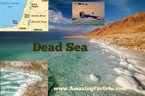 Dead Sea Amazing Facts 4 U