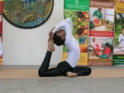 Yoga is a subject which has to be handled with right knowledge and care. The Health Cloud Zone - Service Provider of Yoga Services ...