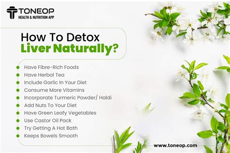 Liver Detox How To Detox Liver Naturally