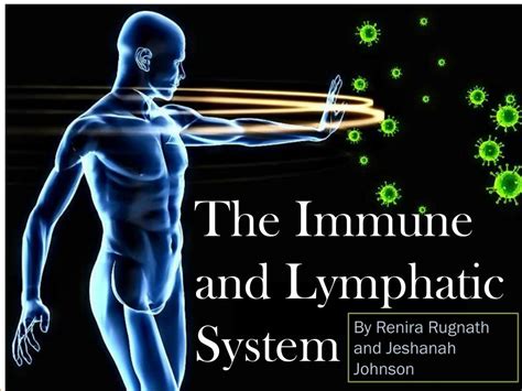 Ppt The Immune And Lymphatic System Powerpoint Presentation Free