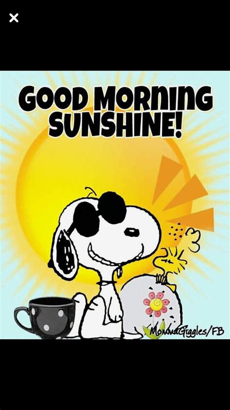 Pin By Amanda Daigle On Snoopy Good Morning Sunshine Funny Good