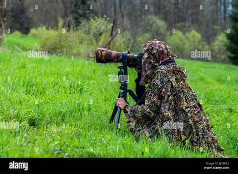 A Female Nature Photographer Waiting Hidden For An Animal Stock Photo