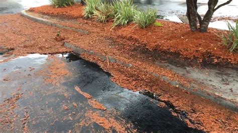 Mulching with rubber mulch has become more popular over the years because we now have better ways or recycling tires into rubber mulch. Wood Mulch vs Rubber Pour in Place Mulch - YouTube