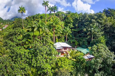 experience dominica the nature island dominica vacations exotic vacations honeymoon
