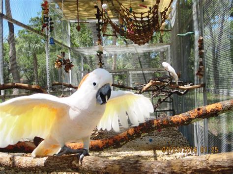 Florida Exotic Bird Sanctuary Inc Reviews And Ratings Hudson Fl