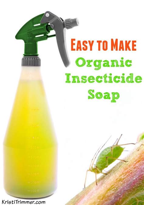 There are 120 aphid killer for sale on etsy, and they cost 17,13 $ on average. The 25+ best DIY insecticidal soap ideas on Pinterest ...