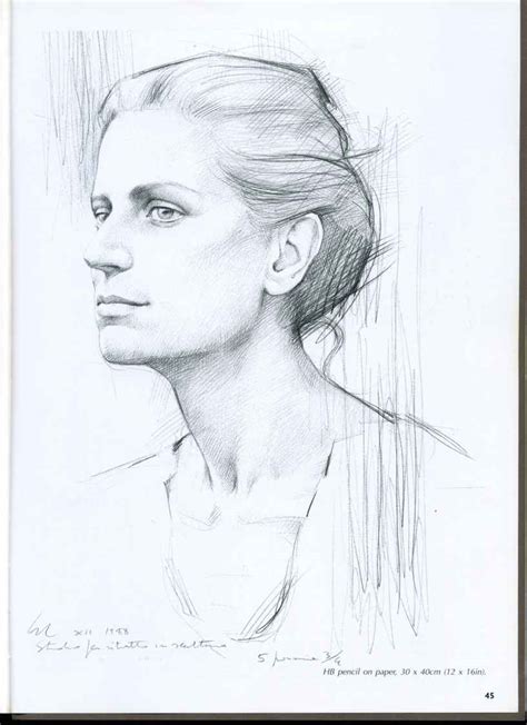 Profile Drawing Of Face