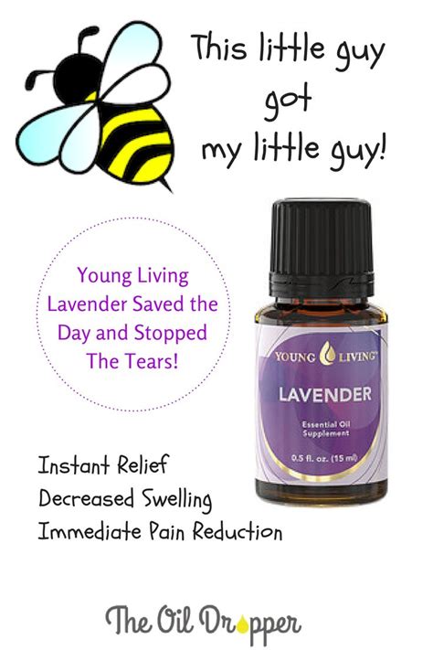 Although bees leave their stinger behind when they sting you, wasps have a stinger that can be used to attack multiple times without falling off. Bee-Sting First Aid with Lavender Essential Oil https ...