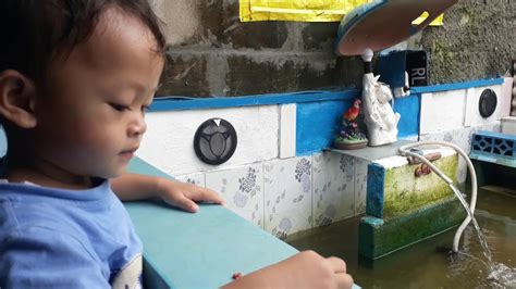 Check spelling or type a new query. kasih makan ikan ikan - YouTube