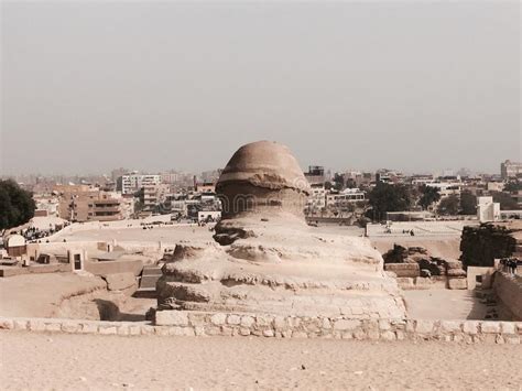 Back View Of The Sphinx Next To Pyramids Egypt Stock Photo Image Of