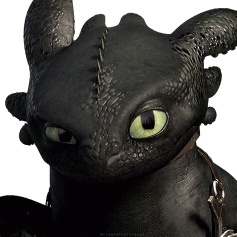 Image Upset Toothless How To Train Your Dragon Wiki Fandom