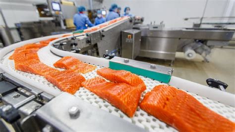 Amazing Food Cutting And Processing Machines Fish Factory ★ Satisfying