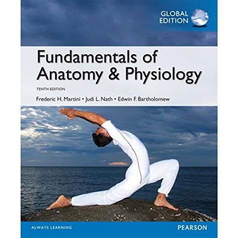 9780321909077 Fundamentals Of Anatomy And Physiology 10th Edition