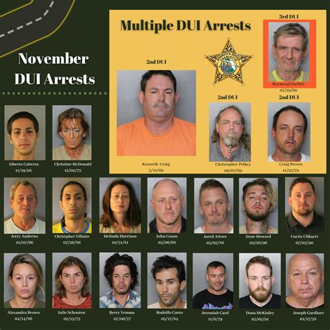Driving under the... - Charlotte County Sheriff's Office