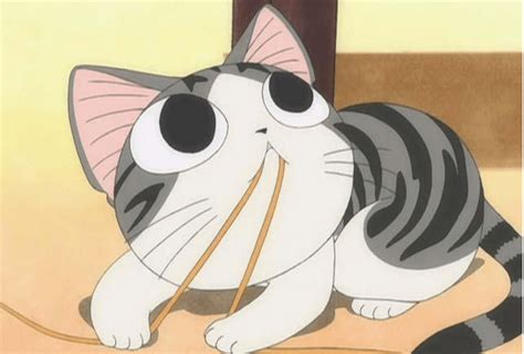 A Cat Sitting On The Ground With Chopsticks In It S Mouth And Eyes