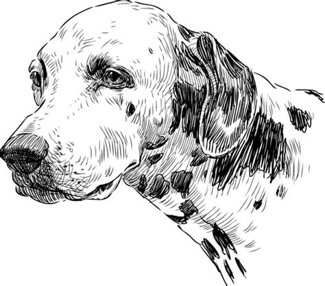Hand Drawn Dogs Vector Set Vectors Graphic Art Designs In Editable Ai