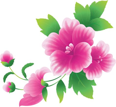 Download High Quality Flower Clipart High Resolution Transparent Png
