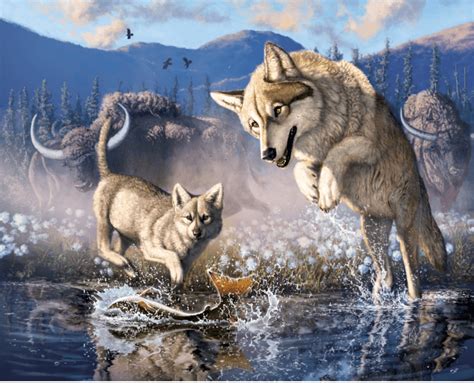 The Life Of Zhùr A Mummified Ice Age Wolf Pup From The Klondike