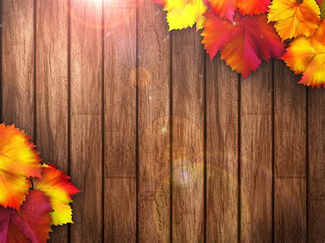 Rustic Fall Wood Background