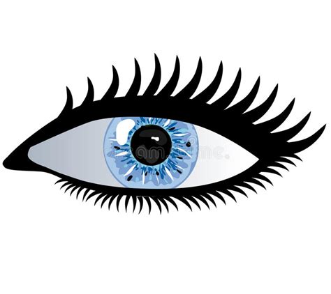 Blaue Pupille stock abbildung. Illustration von getrennt - 11232465