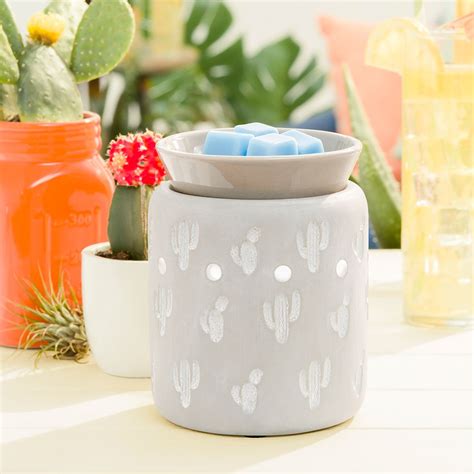 This hoodie features an illustrated cactus design printed on the breast pocket while the back features a larger print with the sassy slogan can't touch this! Can't Touch This | Cant touch this, Scentsy, Flair