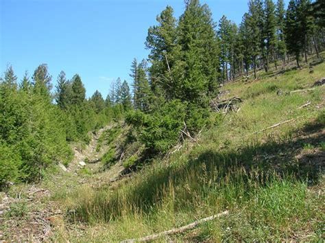 Major gold plays are at some of idaho's historic gold producing areas, with increased activity last year, and continuing into this year. Idaho Patented Gold Mine For Sale MineListings.com