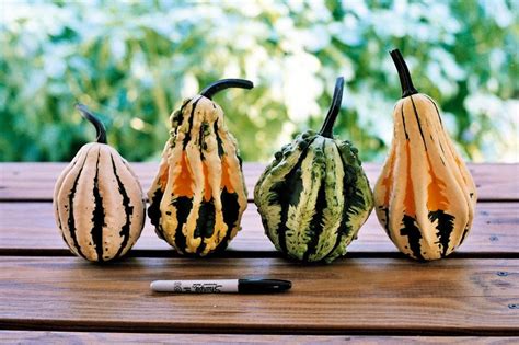 20of26pumpkins, squashes and gourds in the wildly varied cucurbita genus are botanical works of art. Gourd Seed List | Seeds, Gourds, Food