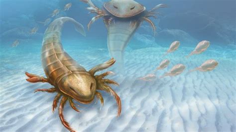 Fóssil De Escorpião Marinho Gigante Desconhecido é Descoberto Nos Eua