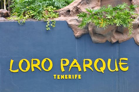 Check spelling or type a new query. Loro Parque | Teneriffa Forum