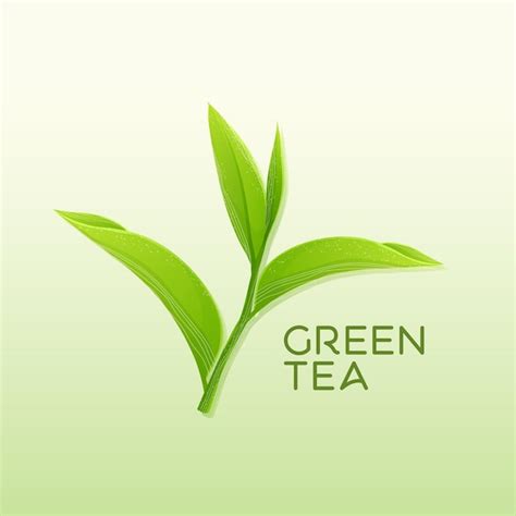 Premium Vector Green Tea Leaves Vector Illustration