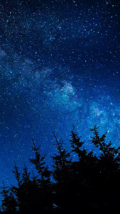 Download Wallpaper 1440x2560 Starry Sky Night Stars Glitter Trees