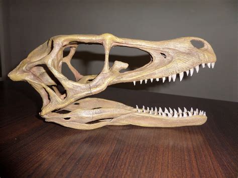 3d Printed Full Size Velociraptor Skull Paleo Re Creations The