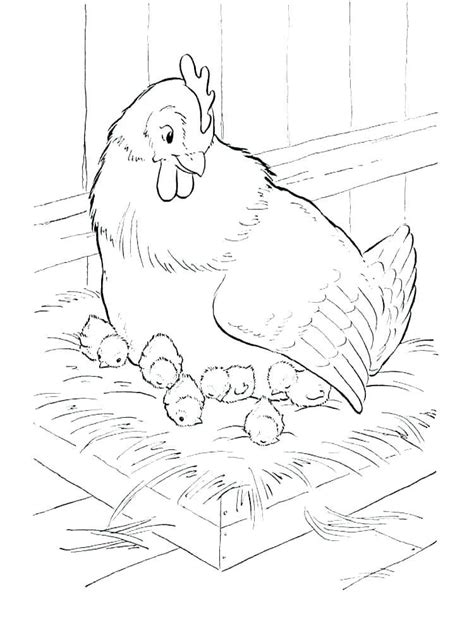 Print free animal coloring pages. Chicken Coloring Pages (With images) | Farm animal ...