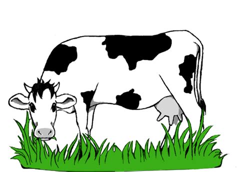 Download High Quality Cow Clipart Grazing Transparent Png Images Art