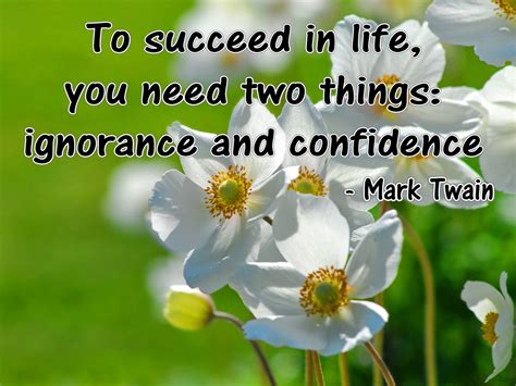 Succeed In Life Quote By Mark Twain Inspirational Picture Quotes