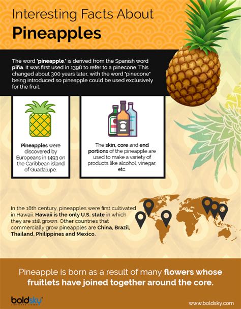 Pineapple Health Benefits Nutritional Value And Ways To Eat