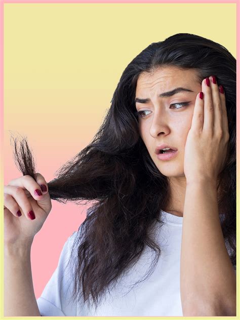 Discover More Than 138 Dry Stiff Hair Latest Dedaotaonec