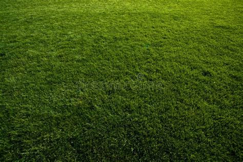Grüner Rasen Am Fußballplatz Stockbild Bild Von Grün Nachgemacht