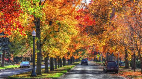 The county seat is historic idaho city, which is connected through a series of paved and unpaved roads to lowman, centerville, placerville, pioneerville, star ranch. Boise Idaho Fall Color - YouTube