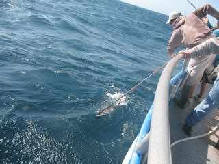 In rational terms, freedom is harder to fully attain. Doing It On The Road(Part II): Deep Sea Fishing Aboard the ...