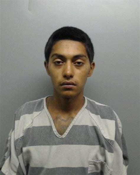 Mugshots in November's 'Operation GOTCHA'