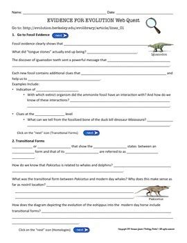 Describe the important observations that darwin made. Evidence for Evolution Webquest by Biology Roots | TpT