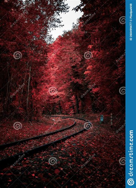 Train Tracks In Autumn With Fog And Colorful Foliage Stock Image