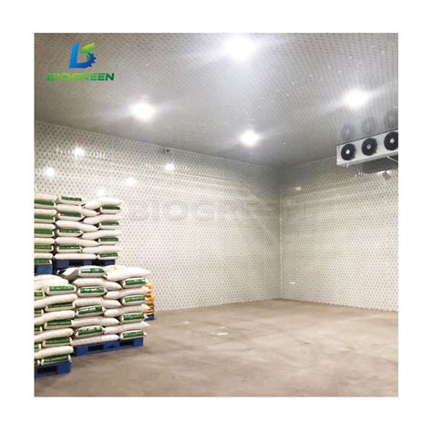 Frozen Beef Chicken Fish Meat Whole Cold Storage Freezer Room For