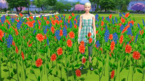 Mod The Sims Early Spring Fields Of Wildflowers