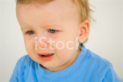 Little Boy Crying Stock Photo Royalty Free Freeimages
