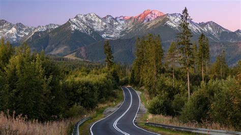 Road Between Trees Covered Forest With Landscape Of