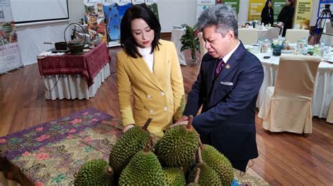 Vì vậy, không phải ai cũng có thể biết rõ nguồn gốc của chúng ở đâu và sự khác biệt so với dòng sầu riêng thông thường như thế nào? musang-king-durian-china