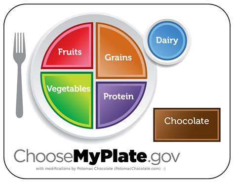 The food groups (worksheets, mini book, & posters) by. USDA's MyPlate Corrected :) | Potomac Chocolate