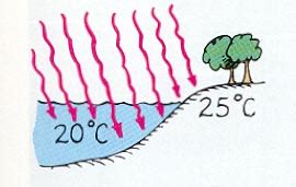 Porque un gramo de agua requiere una caloría. Calor Específico - Capacidad Calorífica